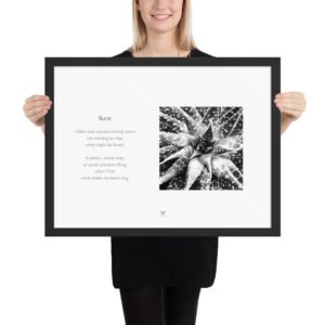 framed poster burst