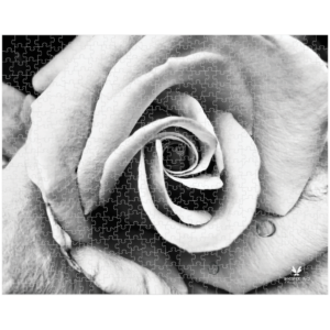 Timeless Rose Puzzle