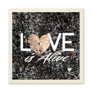 The Love is Alive Paper Napkins