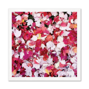 Fall Leaves Paper Napkins