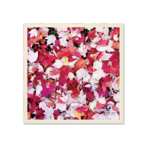 Fall Leaves Paper Napkins