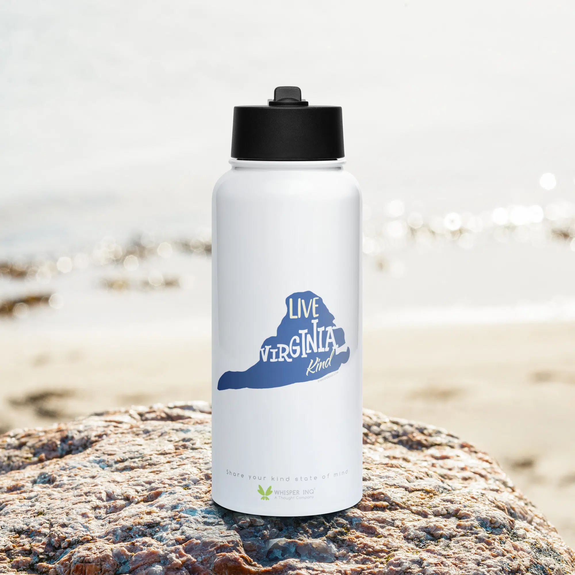 Live Virginia Kind Stainless Steel Water Bottle