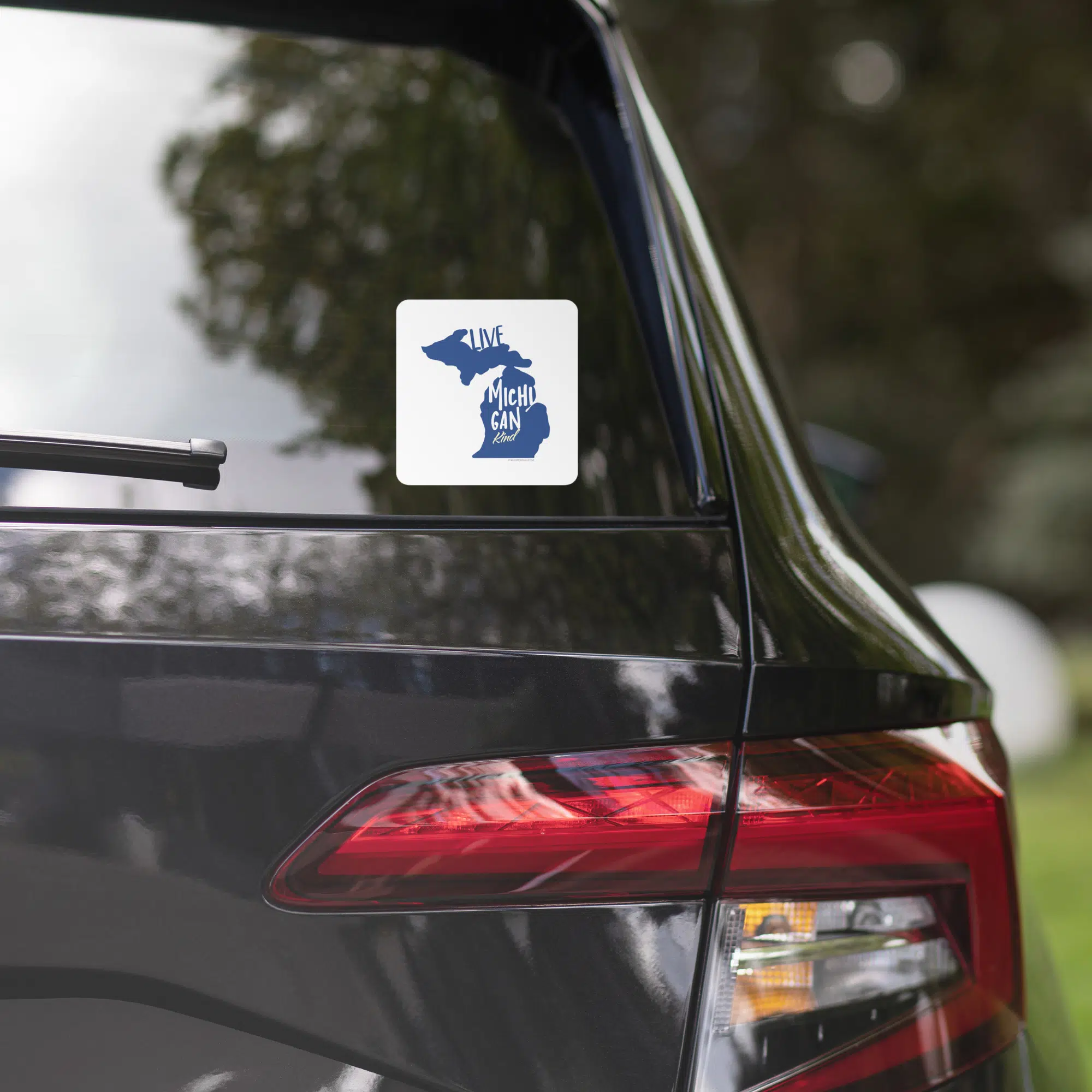 Live Michigan Kind Stickers