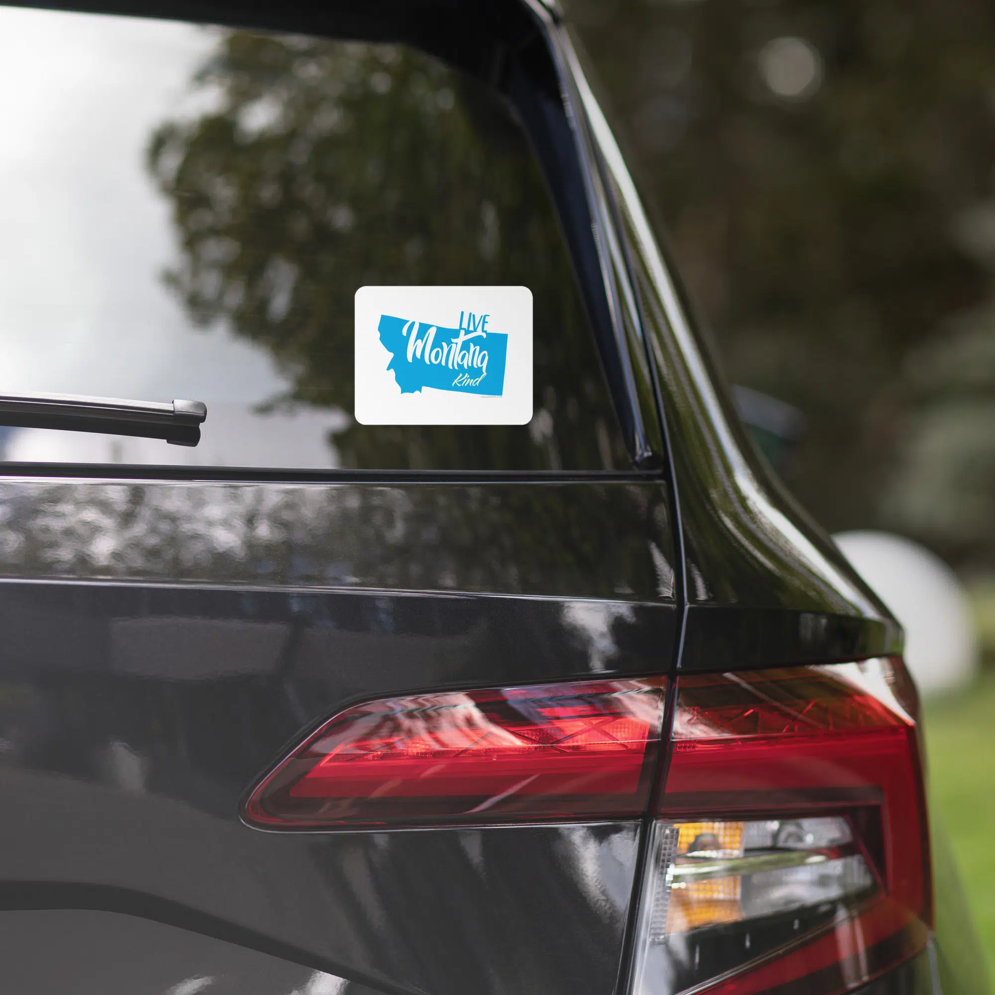 Live Montana Kind Stickers