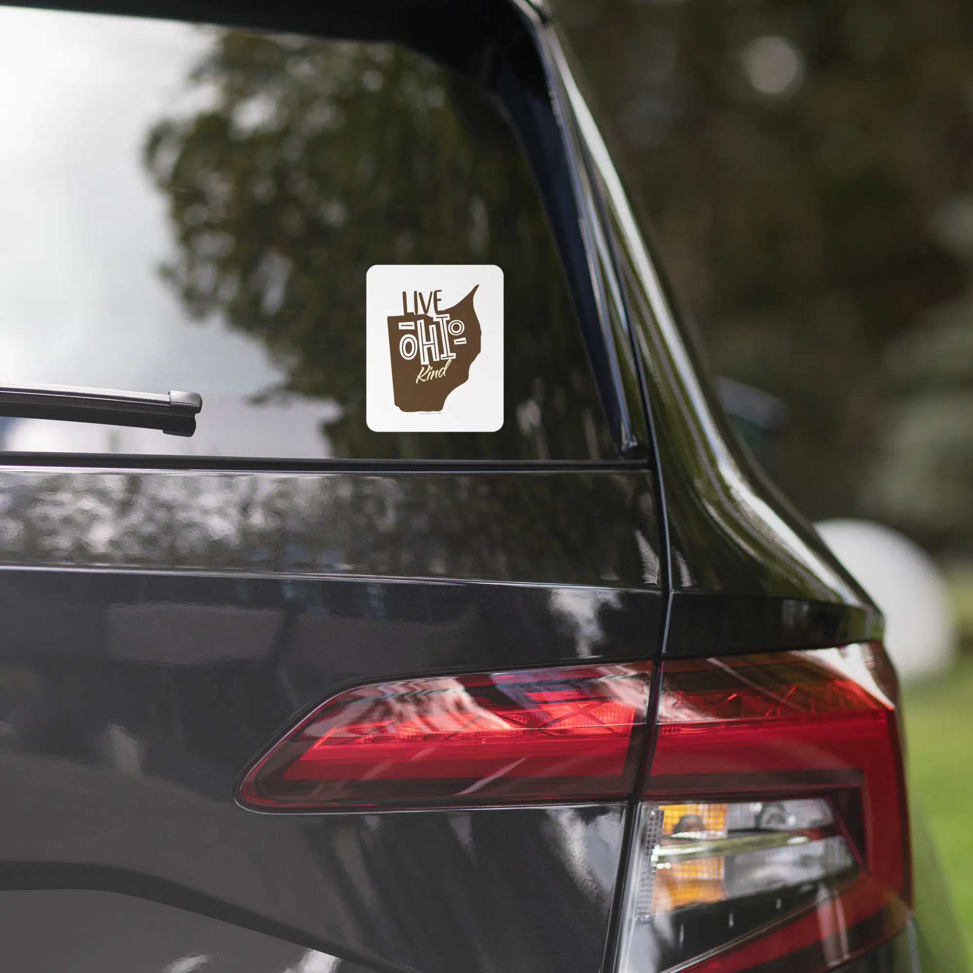 Live Ohio Kind Stickers