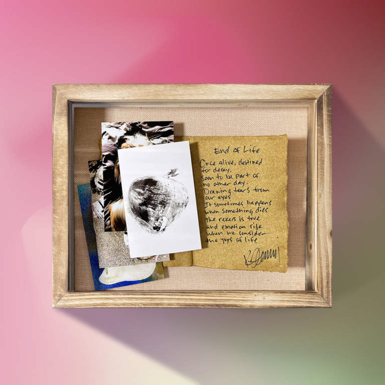End of Life Shadow Box